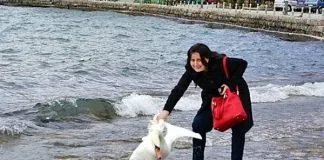 #MACEDONIA Mujer mató a cisne tratando de sacarse una foto con él