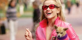 Muere can de famosa película