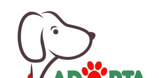 #SANTIAGO Paola Cerda, la rescatista que hace de su casa en Chicureo un hogar para los perros