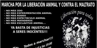 #SANTIAGO Convocan a una nueva marcha por el cierre de los Zoo