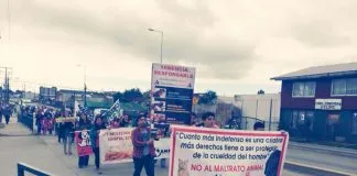#LOSLAGOS Animalistas de Quellón alzaron la voz por los derechos de los animales este sábado