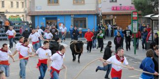 #PuntoLegal Congresistas presentarán un proyecto para defender los espectáculos con animales en Colombia