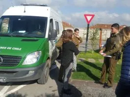 #SANTIAGO Denuncian muerte de perro en Chicureo tras estar abandonado varios días en una casa