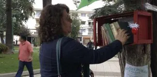 #VALPARAISO ´BiblioArbol´ en la Plaza de Quillota busca fomentar la lectura en la provincia