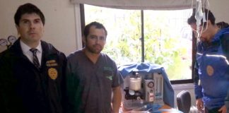 #LOSRIOS BIDEMA recupera ave protegida que estaba en un domicilio valdiviano