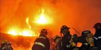 #COQUIMBO Carabinero ayuda a perro que estaba asustado por incendio en Vicuña