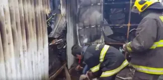 #BIOBIO Perra salvó a sus cachorros de un incendio escondiéndolos bajo tierra
