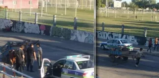 #ARGENTINA Liberan a caballo que estaba tirando una pesada carga en Avellaneda
