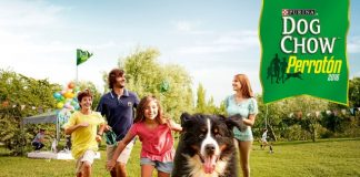 #SANTIAGO Miles de perros y dueños corrieron en la Perrotón 2016, cuyo tema central fue la tenencia responsable