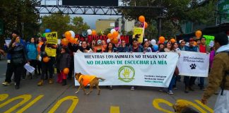 #SANTIAGO Más de 500 personas asistieron a marcha por los derechos de los animales este sábado