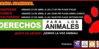 Convocan a una nueva marcha nacional para promover los derechos de los animales