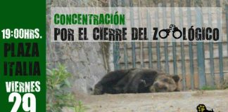 #SANTIAGO Realizarán manifestación para exigir el cierre del Zoo Metropolitano