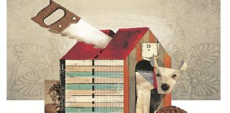 ¿Quien se queda con la mascota?