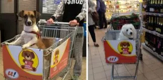 #ITALIA Supermercados adaptan carros para comprar con tu can