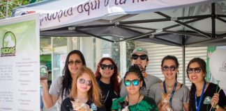 #ANTOFAGASTA Agrupación lanza página web para promover adopciones y juntar fondos en pro de los animales