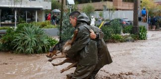 #SANTIAGO Carabineros ayudan a personas y animales en Providencia tras la inundación