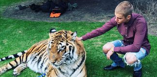 #CANADA Critican a Justin Bieber por posar con un tigre encadenado