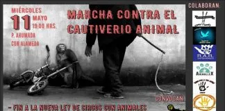#SANTIAGO Realizarán marcha exigiendo el fin de la presencia de los animales en los circos