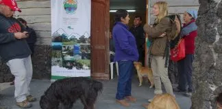 #LOSLAGOS Realizan operativo de esterilización en Parque Nacional Vicente Pérez Rosales