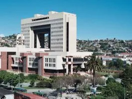Y pasó nuevamente: Cámara de Diputados no votó proyecto de ley que busca prohibir las carreras de perros galgos en Chile