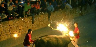 #ESPAÑA Primeros ‘correbous’ con protección especial para los animalistas