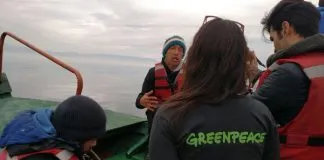 #LOSLAGOS Greenpeace llega al sur para analizar denuncias de pescadores por daños ambientales