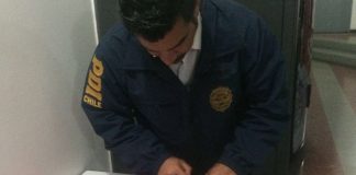 #ARICA PDI detiene a sujeto por maltrato animal a perro de tres meses