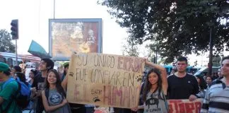 #OPINION Por un activismo pro animal informado
