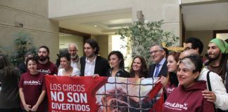 #VALPARAISO PARDA presenta proyecto de ley para prohibir los animales en los circos