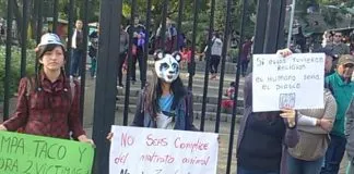 #SANTIAGO Decenas de animalistas se manifestaron en las afueras del Zoo Metropolitano exigiendo su cierre