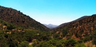 #SANTIAGO Comienza proceso para convertir a la Quebrada de la Plata en Santuario de la Naturaleza