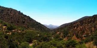 #SANTIAGO Comienza proceso para convertir a la Quebrada de la Plata en Santuario de la Naturaleza