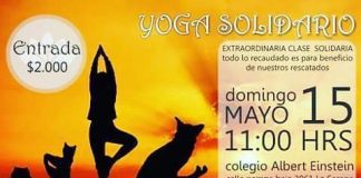 #COQUIMBO Harán yogatón a beneficio de la agrupación Animalistas Coquimbo La Serena