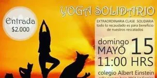 #COQUIMBO Harán yogatón a beneficio de la agrupación Animalistas Coquimbo La Serena