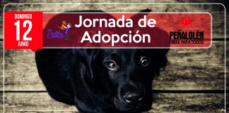 #SANTIAGO Realizarán jornada de adopción este domingo en Peñalolén