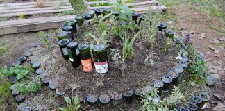 #VALPARAISO Huerto Urbano en estación de Metro ya es una realidad