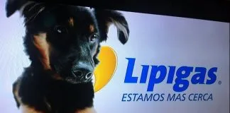 Lipigas presenta al remplazante de Spike en sociedad