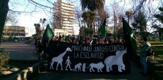 #LAARAUCANIA Alrededor de 100 personas se manifiestan en contra del Zoo Metropolitano en Temuco