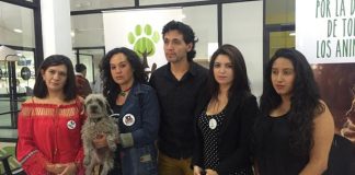 #ECUADOR Animalistas advierten al alcalde de Loja que buscarán su revocatoria del mandato por amenaza de matanza masiva de perros