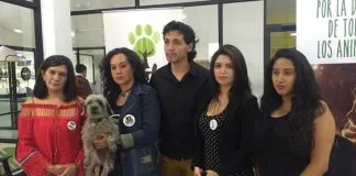 #ECUADOR Animalistas advierten al alcalde de Loja que buscarán su revocatoria del mandato por amenaza de matanza masiva de perros