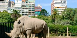 #MUNDO Barcelona admite la tramitación de la iniciativa ciudadana sobre el Zoo