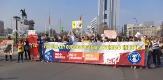 #SANTIAGO Marcha por el Día de la Protección Animal reunió alrededor de 1500 personas