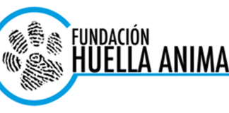 #SANTIAGO Conoce la Experiencia de Fundación Huella Animal