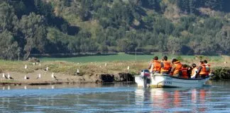 #MAULE Proyecto FPA impulsa el turismo de observación de aves en desembocadura del río Mataquito