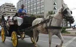 #VALPARAISO Reportajes: ¿Tracción animal o mecánica? Debate acerca de los coches victoria de Viña del Mar