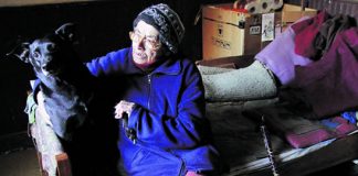 #BIOBIO La historia de una abuelita que cuida autos para alimentar a sus perros y pagar sus remedios
