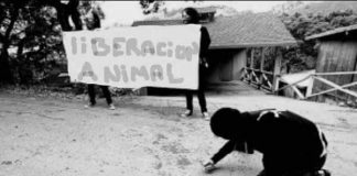 #SANTIAGO Activistas pro animal desplegaron lienzo alusivo al cierre de los zoo en conocido mall