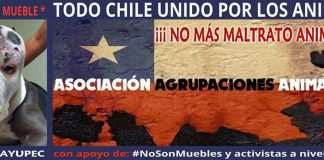 Todo Chile le dice si al respeto y cuidado animal este próximo 30 de Julio en marcha nacional
