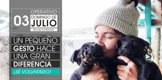 #SANTIAGO Súmate como voluntario en un nuevo operativo de ayuda del Refugio Esperanza