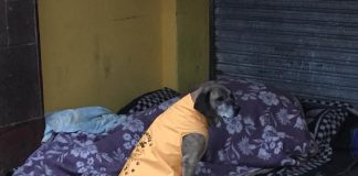 #ANTOFAGASTA Antofagastina le regala capas a los perros abandonados de la ciudad